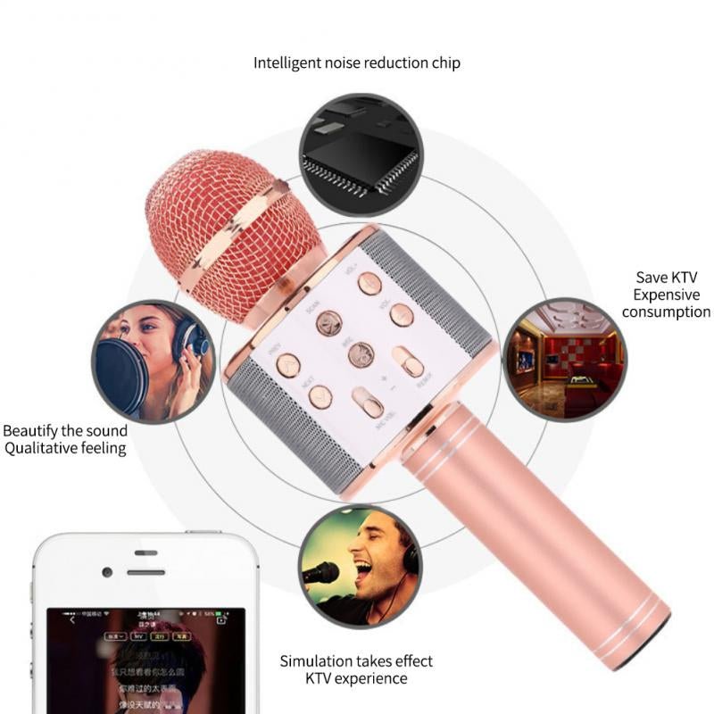 Wireless Microphone Hifi Speaker Sound Effect